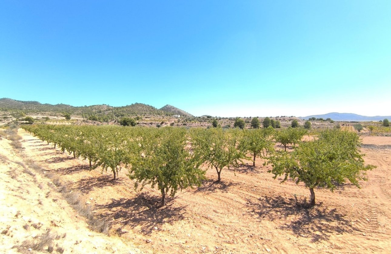 Reventa - land -
Monóvar - Monòver - Monóvar - Monòver Centro