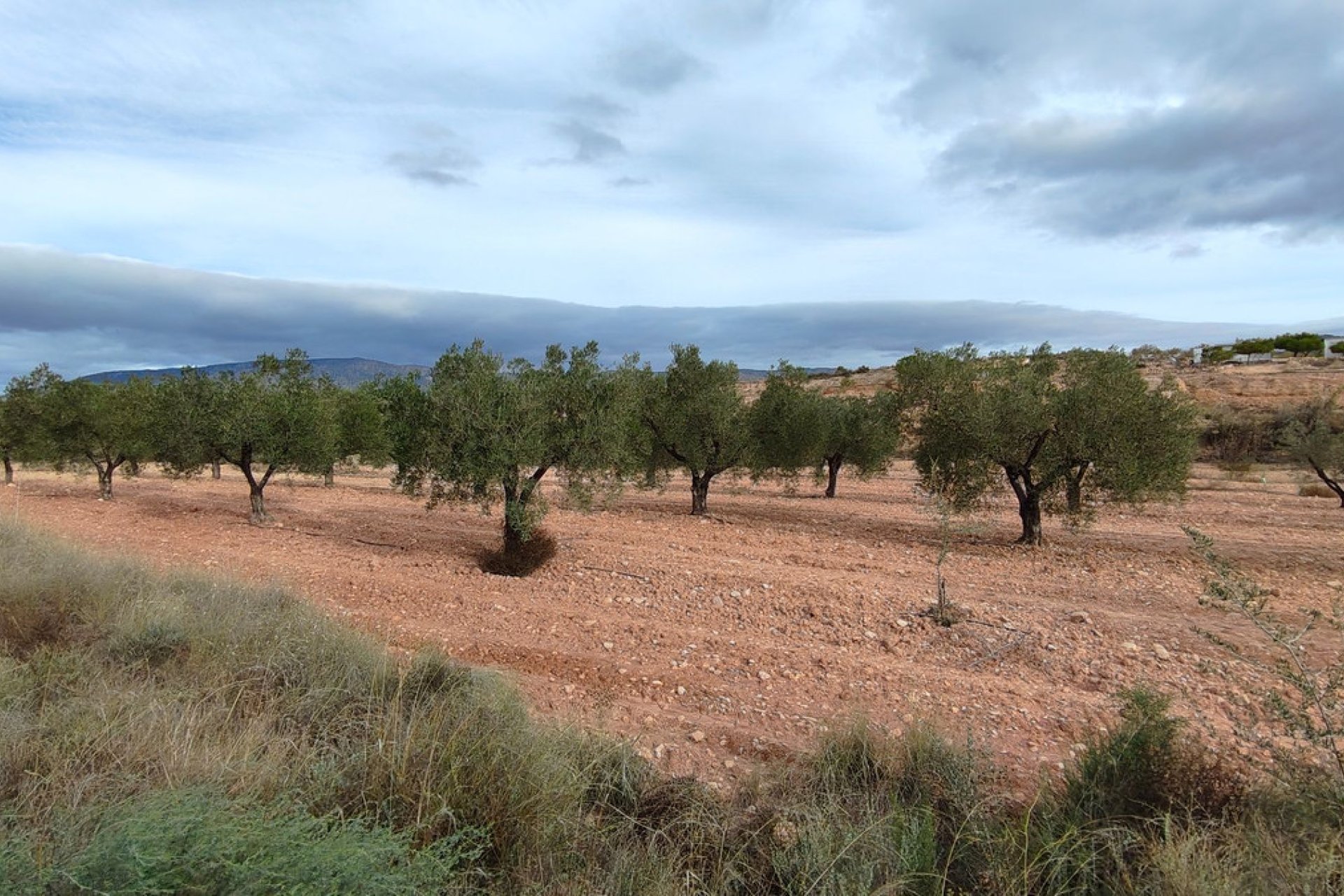 Reventa - land -
Monóvar - Monòver - Monóvar - Monòver Centro