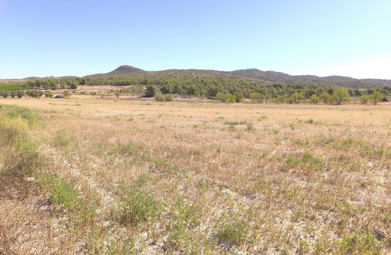 Reventa - land -
Monóvar - Monòver - Monóvar - Monòver Centro