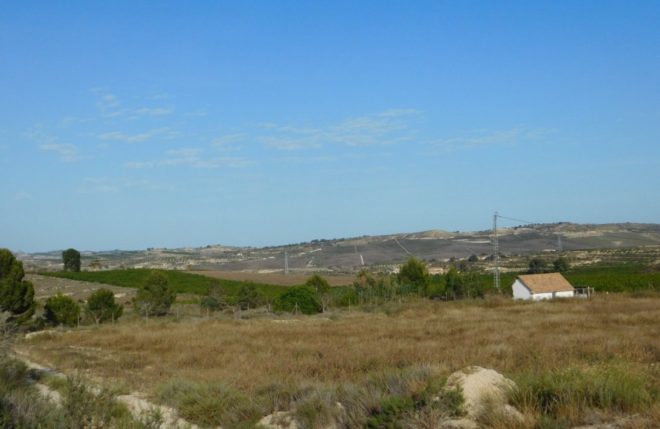 Reventa - land -
Orihuela - Torremendo