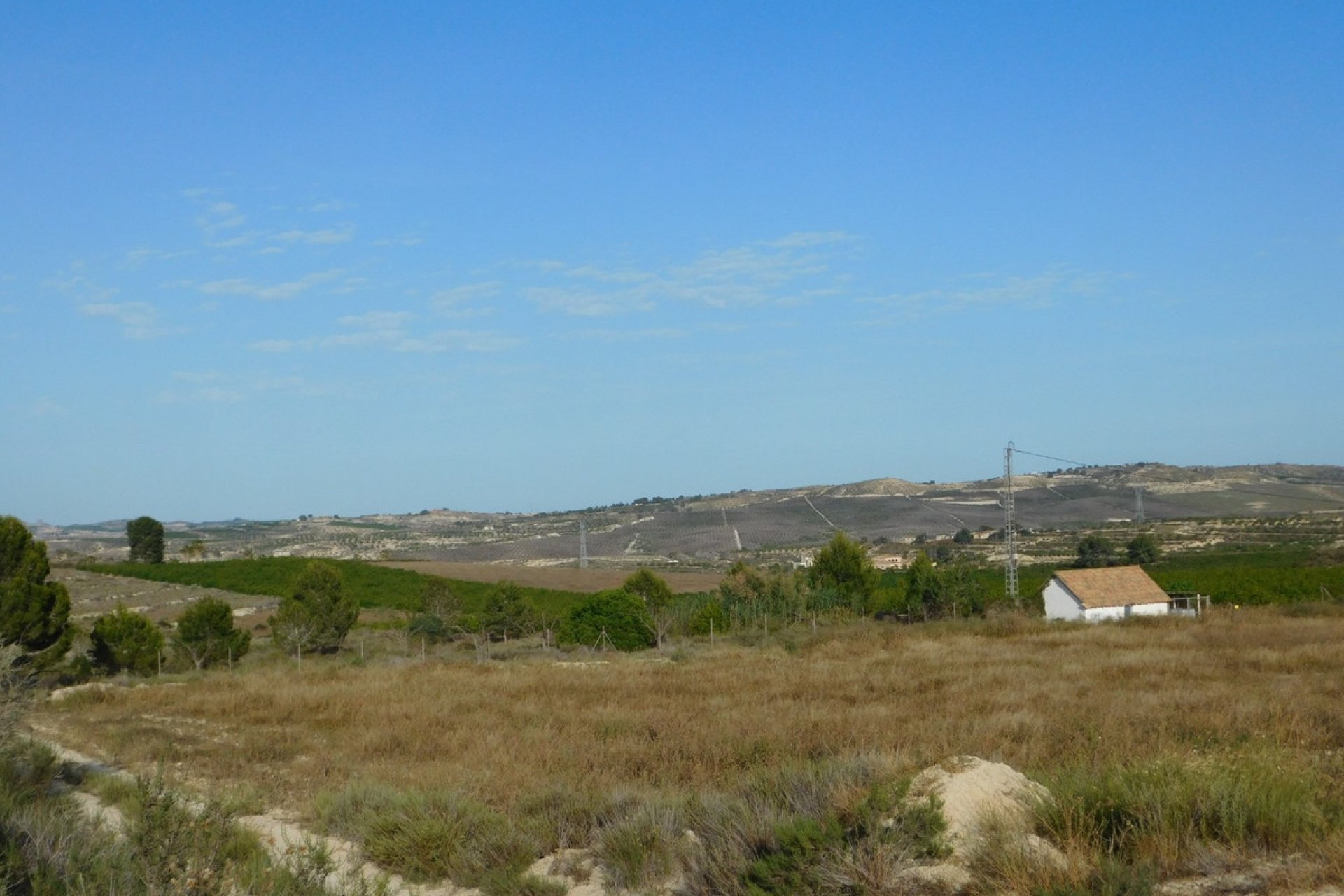 Reventa - land -
Orihuela - Torremendo
