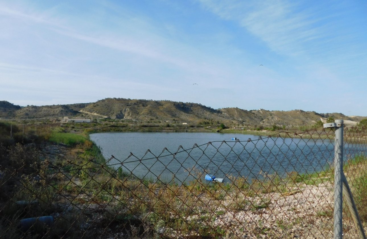 Reventa - land -
Orihuela - Torremendo