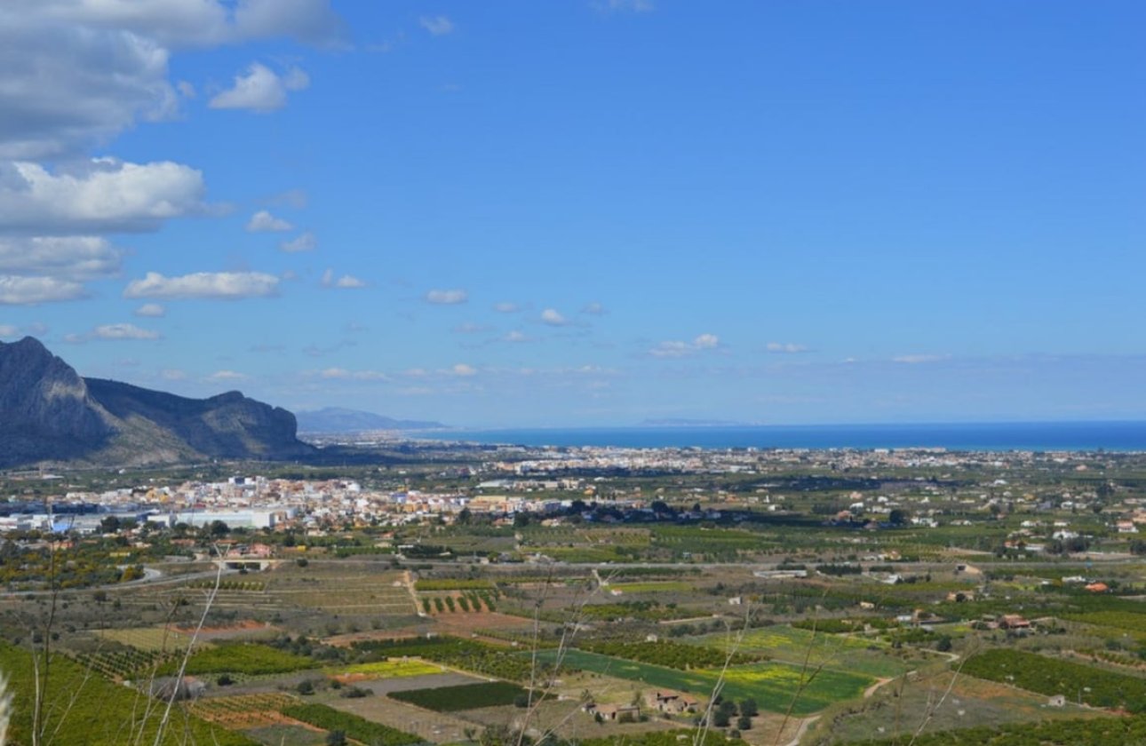 Reventa - land -
Pedreguer - Pedreguer Centro