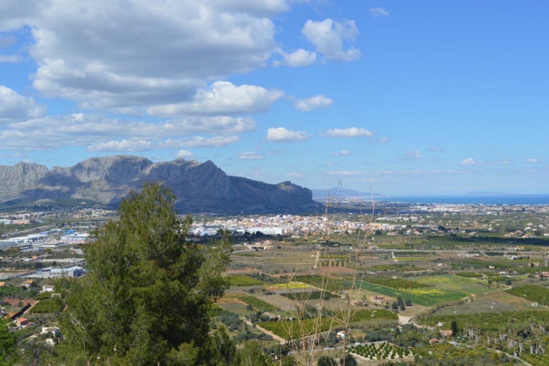 Reventa - land -
Pedreguer - Pedreguer Centro