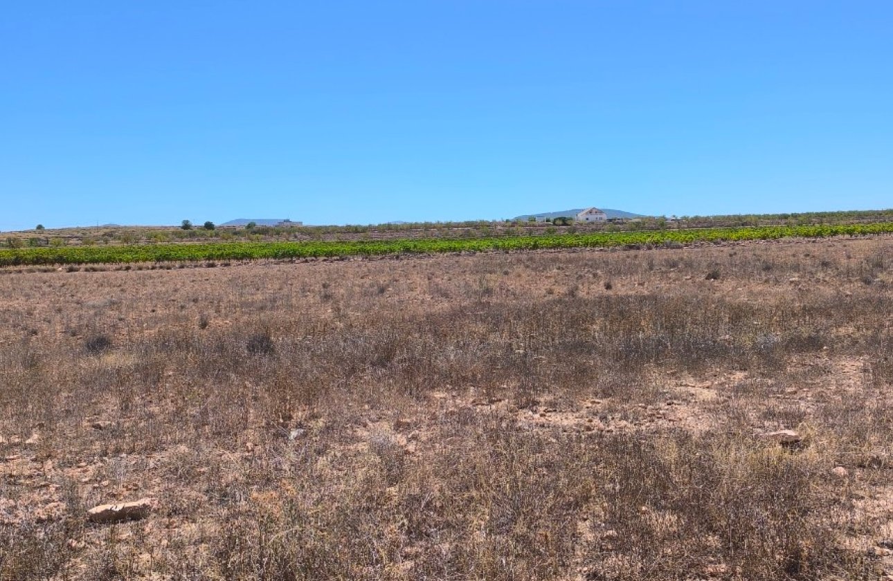 Reventa - land -
Pinoso - Lel