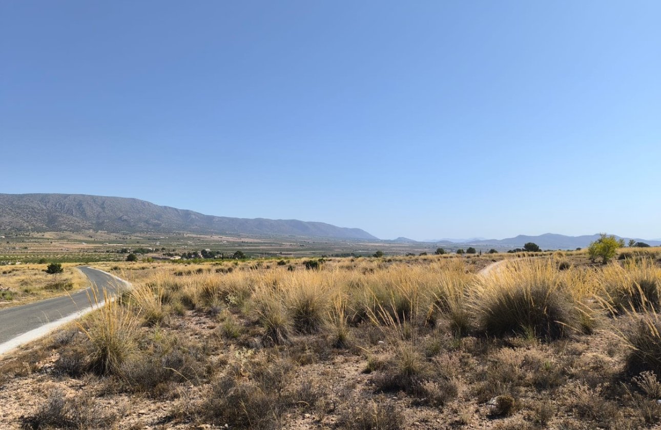 Reventa - land -
Pinoso - Lel