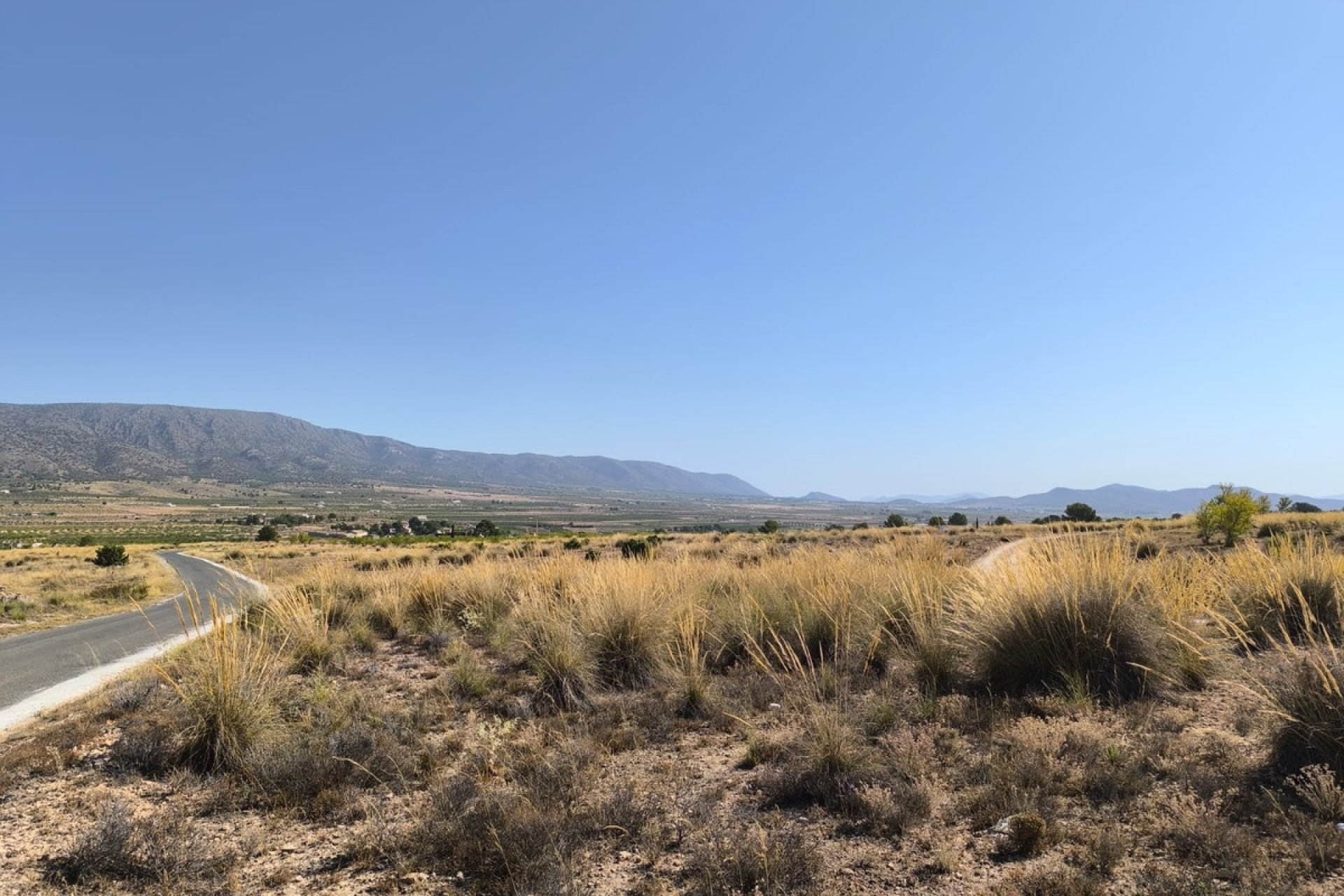 Reventa - land -
Pinoso - Lel