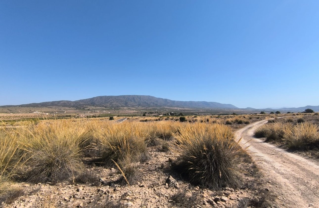 Reventa - land -
Pinoso - Lel