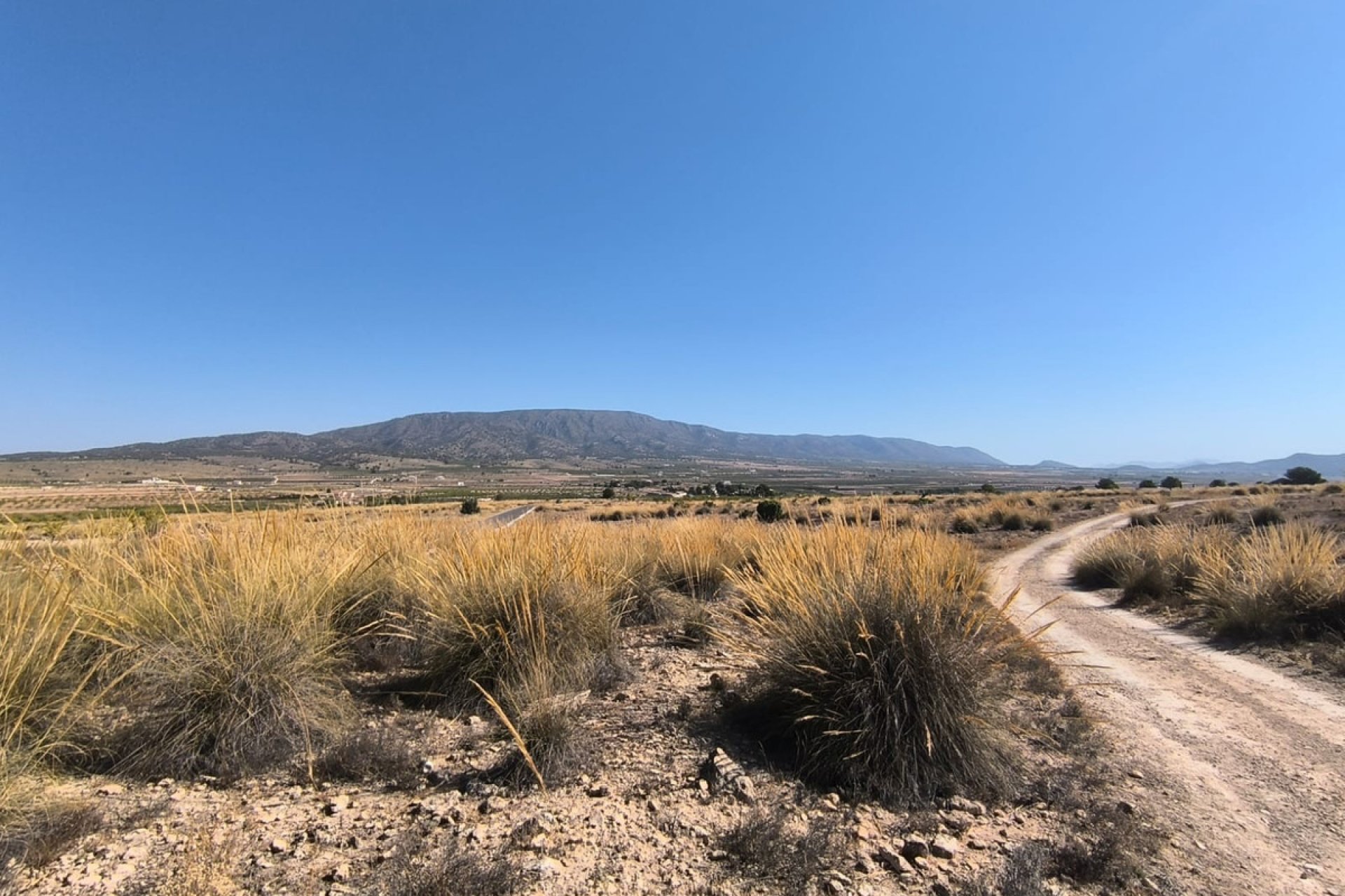 Reventa - land -
Pinoso - Lel