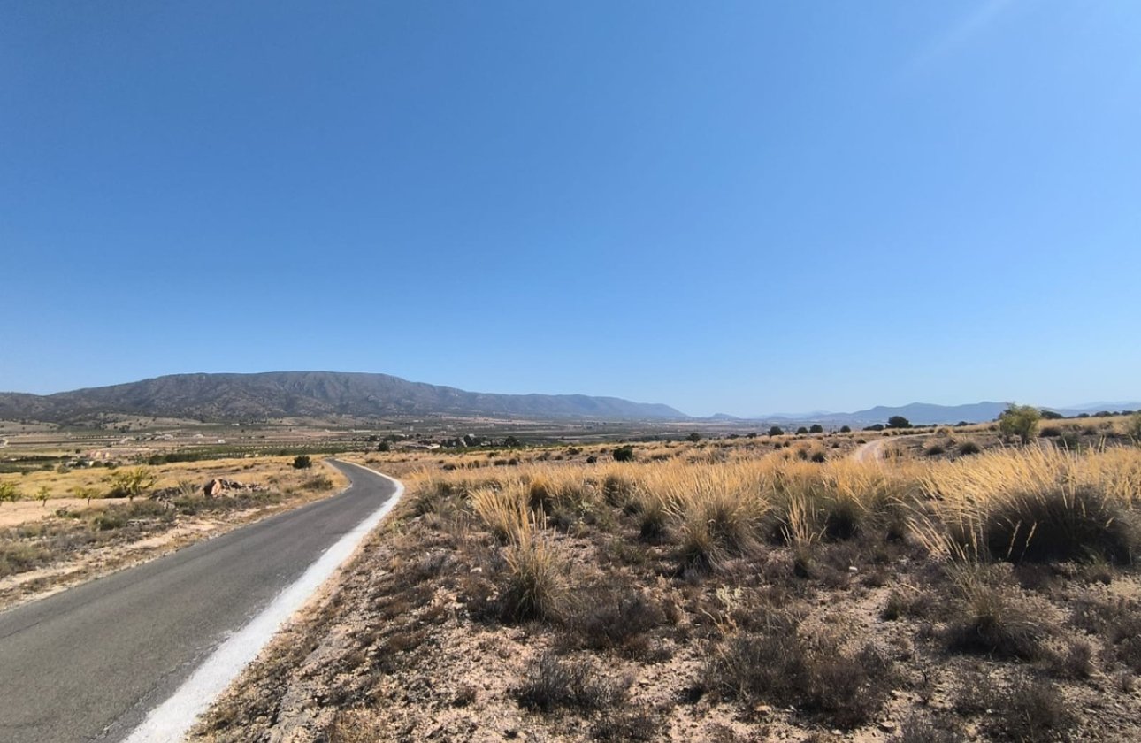 Reventa - land -
Pinoso - Lel