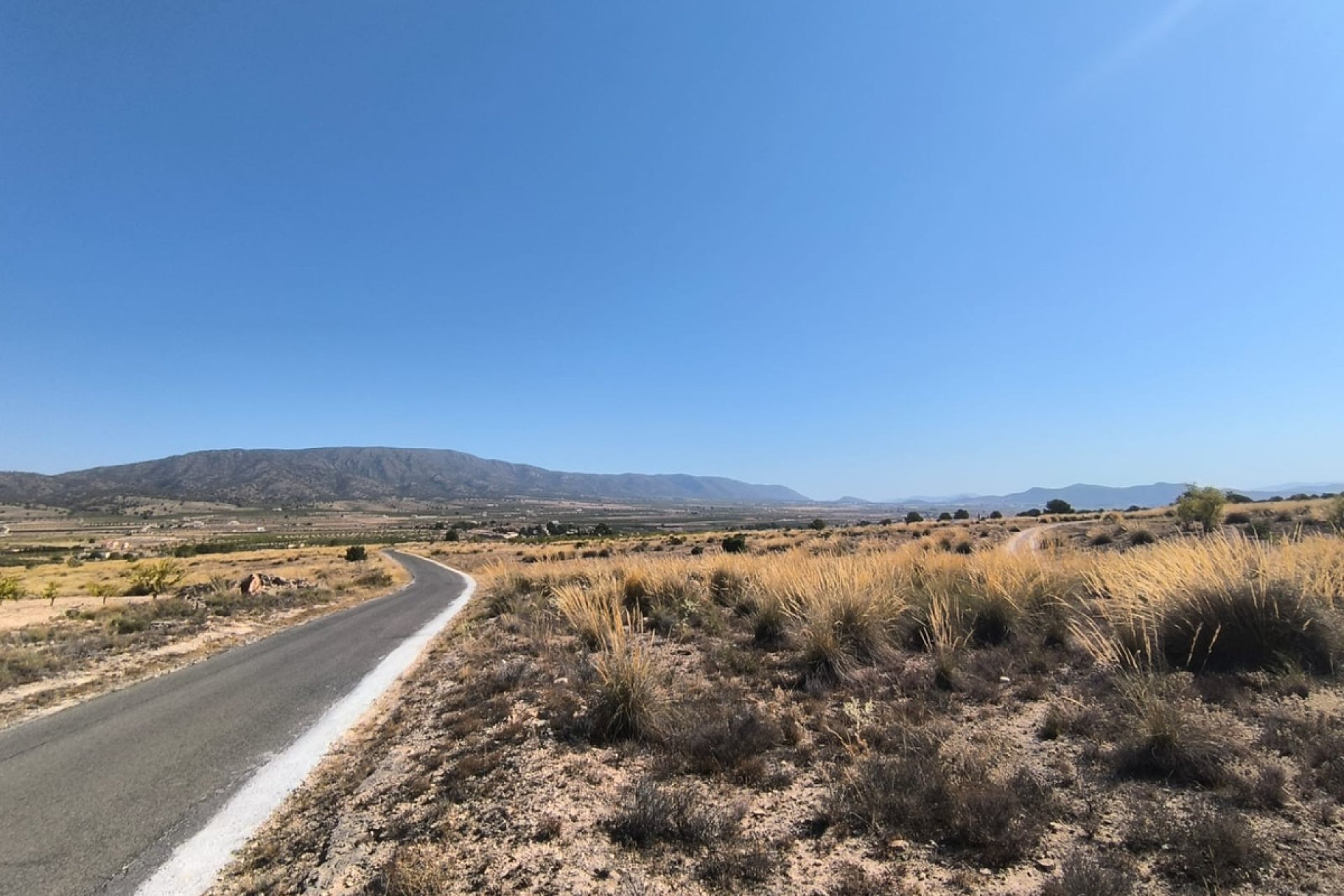 Reventa - land -
Pinoso - Lel