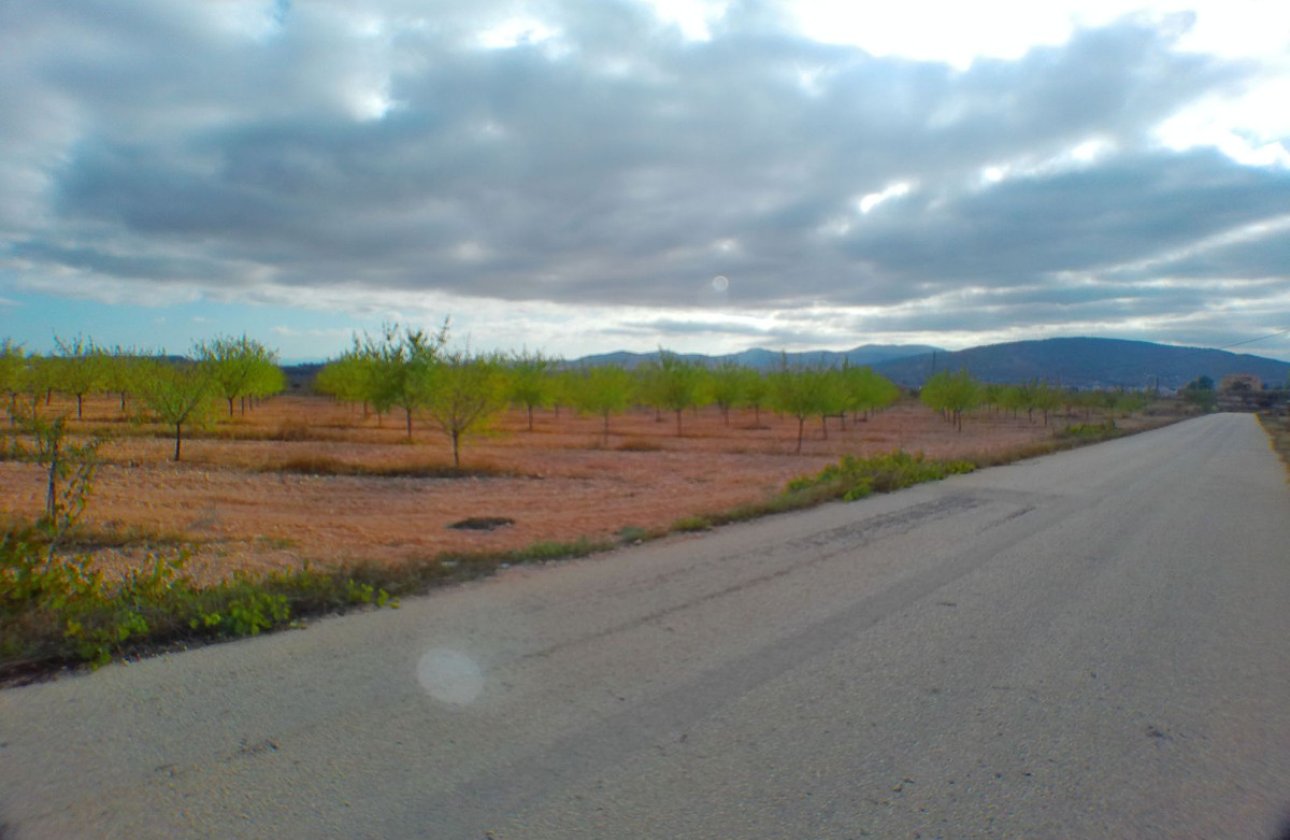 Reventa - land -
Pinoso - Pinoso Centro