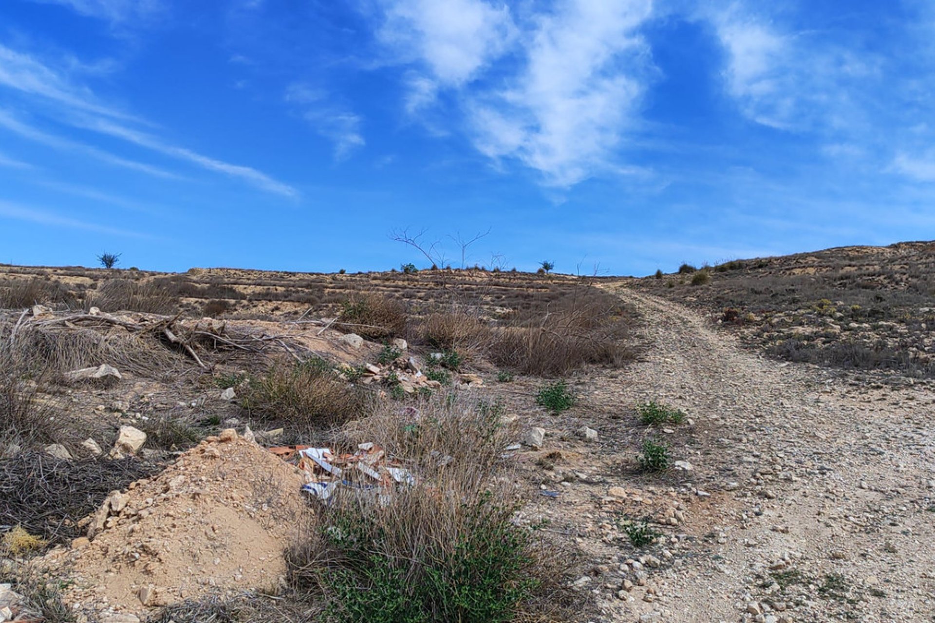 Reventa - land -
Pinoso - Pinoso Centro