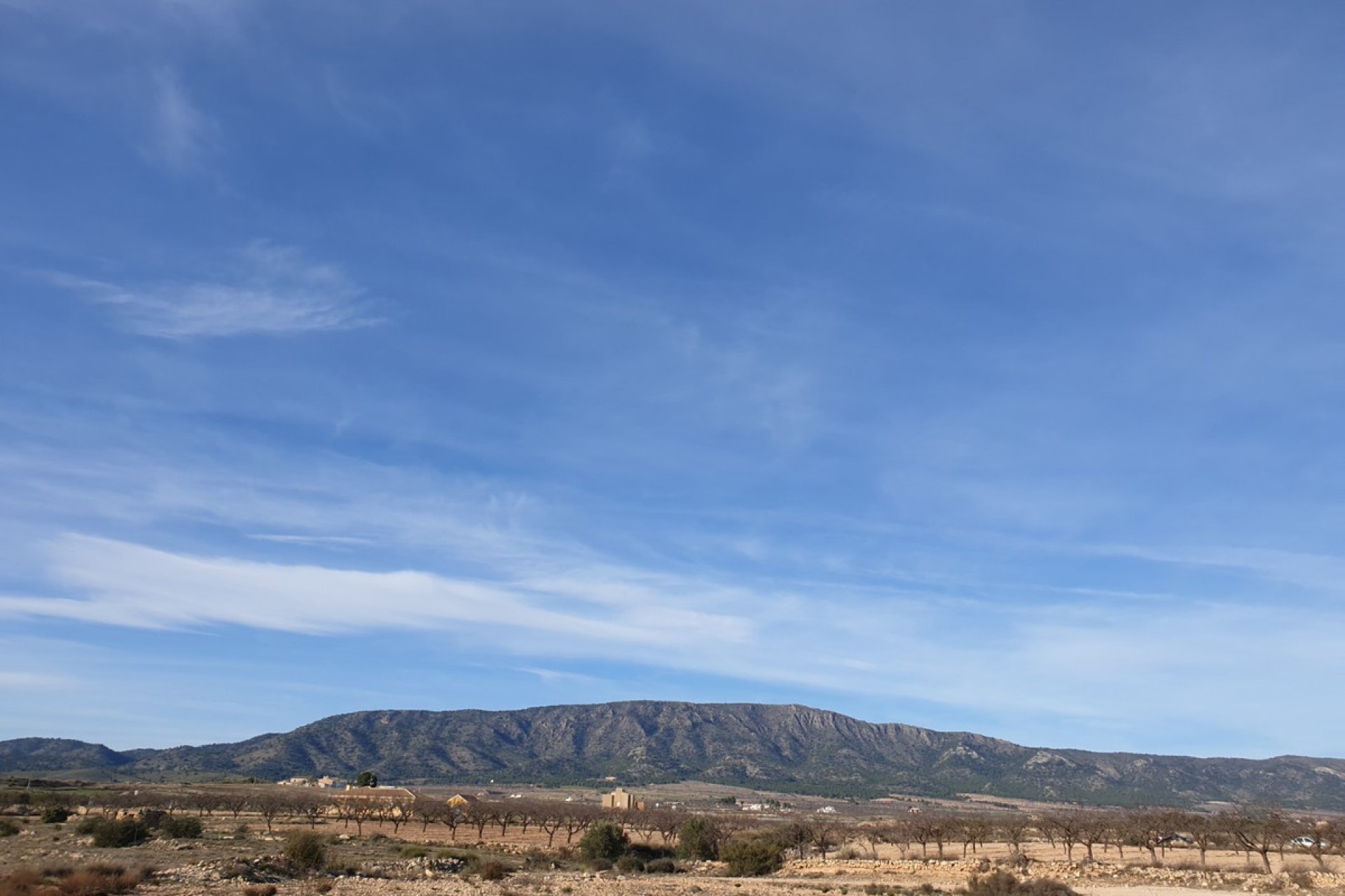 Reventa - land -
Pinoso - Pinoso Centro