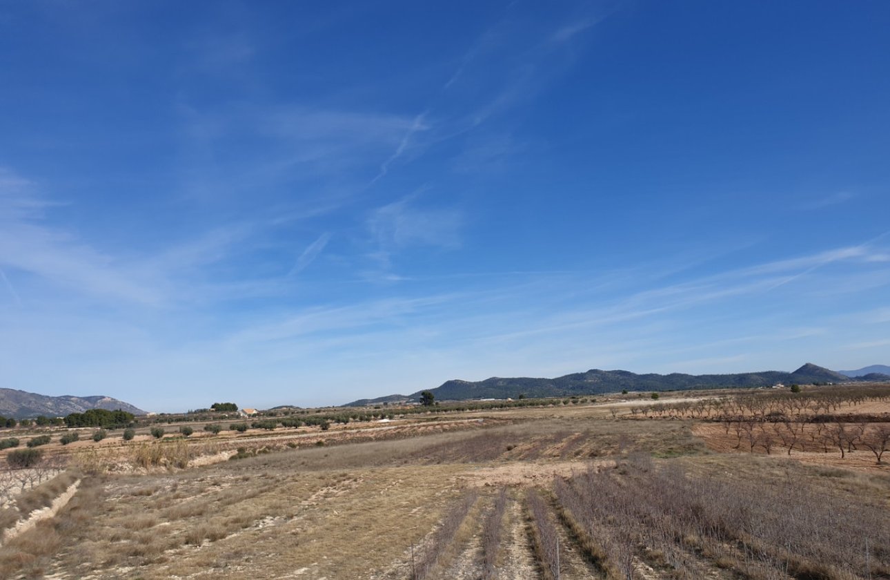 Reventa - land -
Pinoso - Pinoso Centro