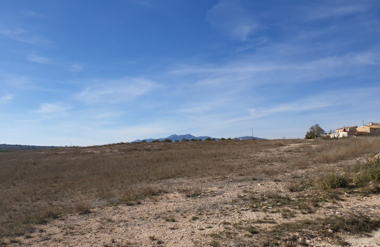 Reventa - land -
Pinoso - Pinoso Centro