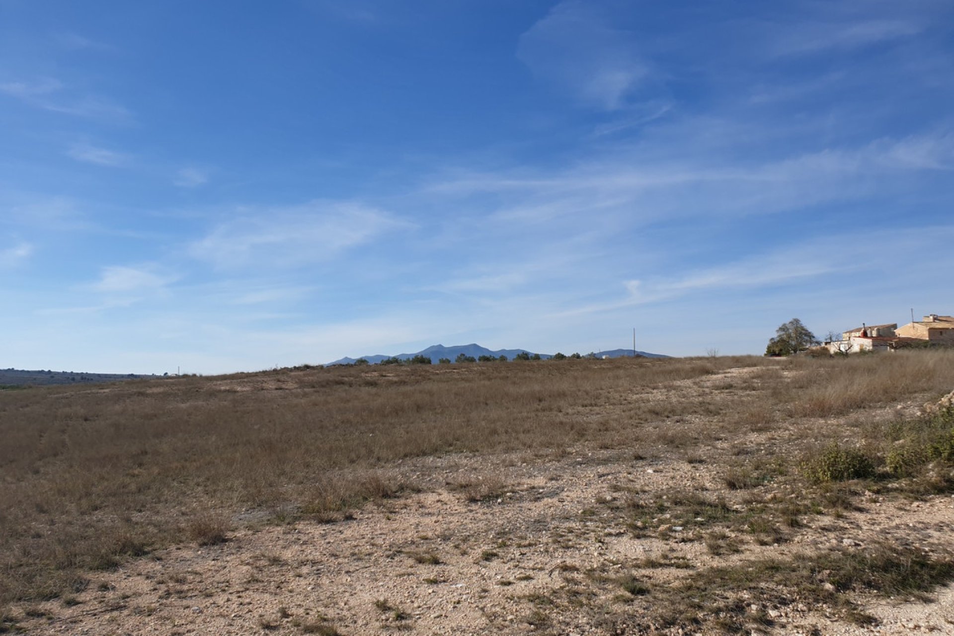 Reventa - land -
Pinoso - Pinoso Centro