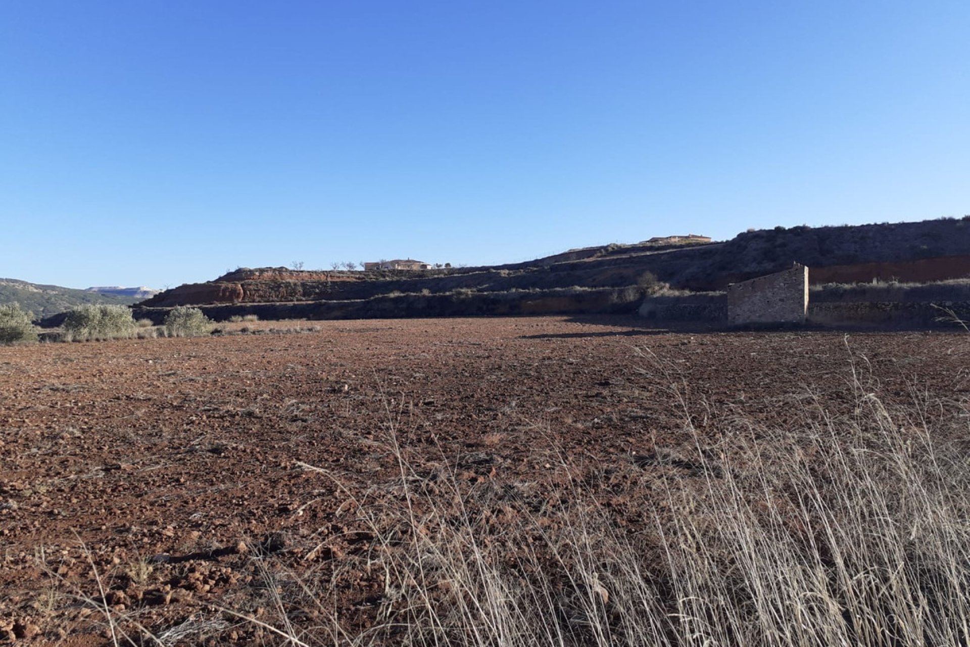 Reventa - land -
Pinoso - Pinoso Centro