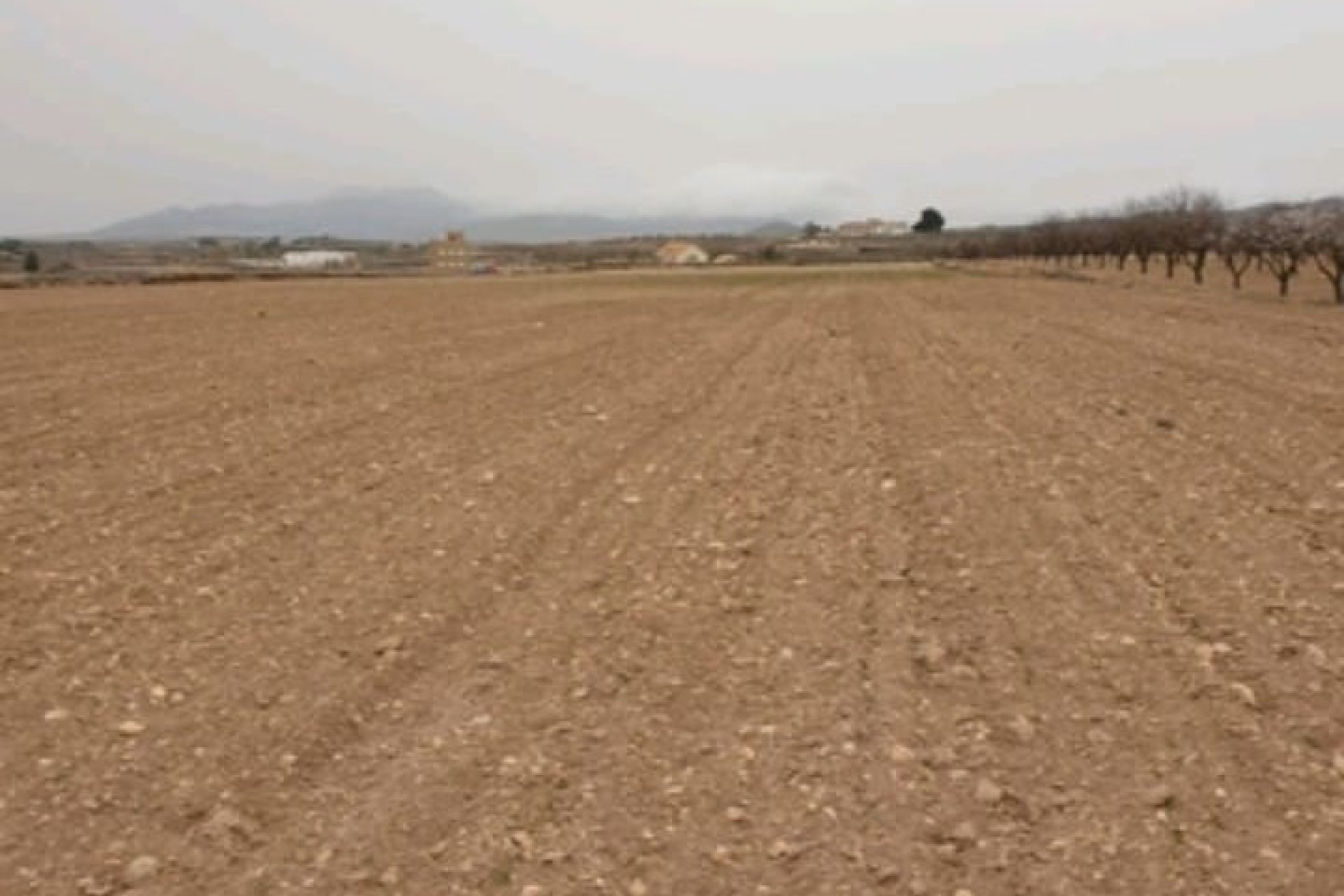 Reventa - land -
Pinoso - Pinoso Centro