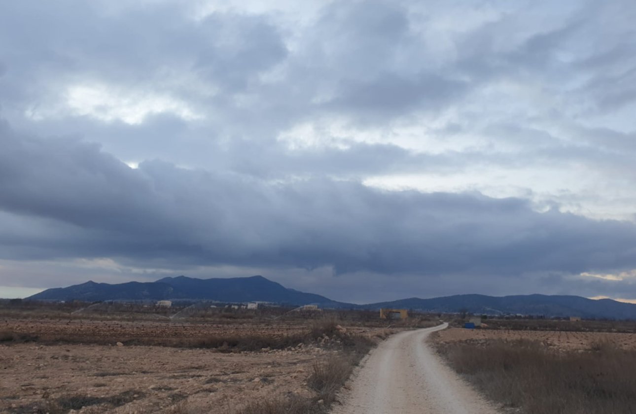 Reventa - land -
Pinoso - Pinoso Centro
