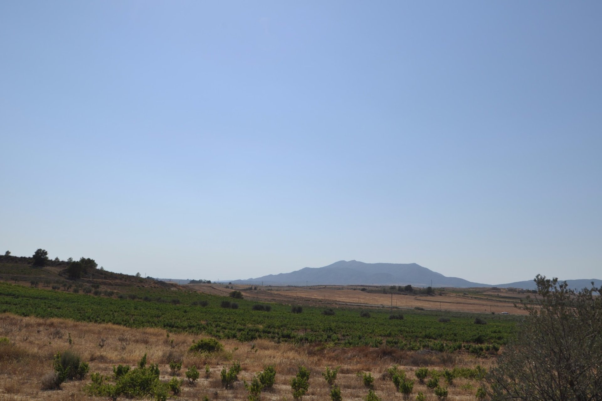 Reventa - land -
Pinoso - Pinoso Centro