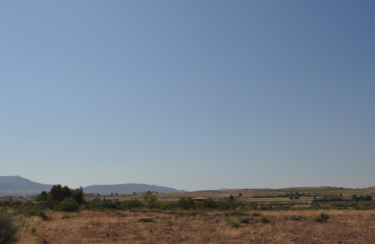 Reventa - land -
Pinoso - Pinoso Centro