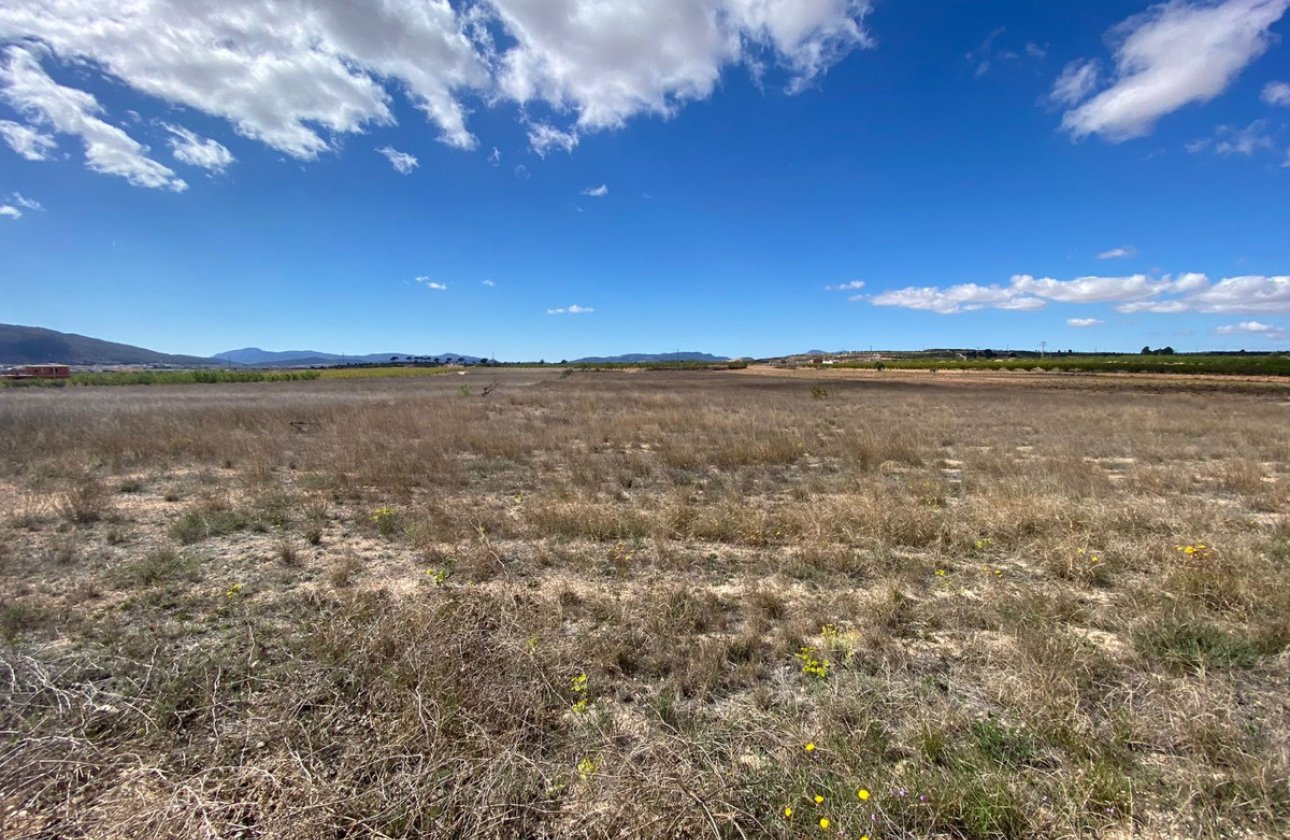 Reventa - land -
Pinoso - Pinoso Centro