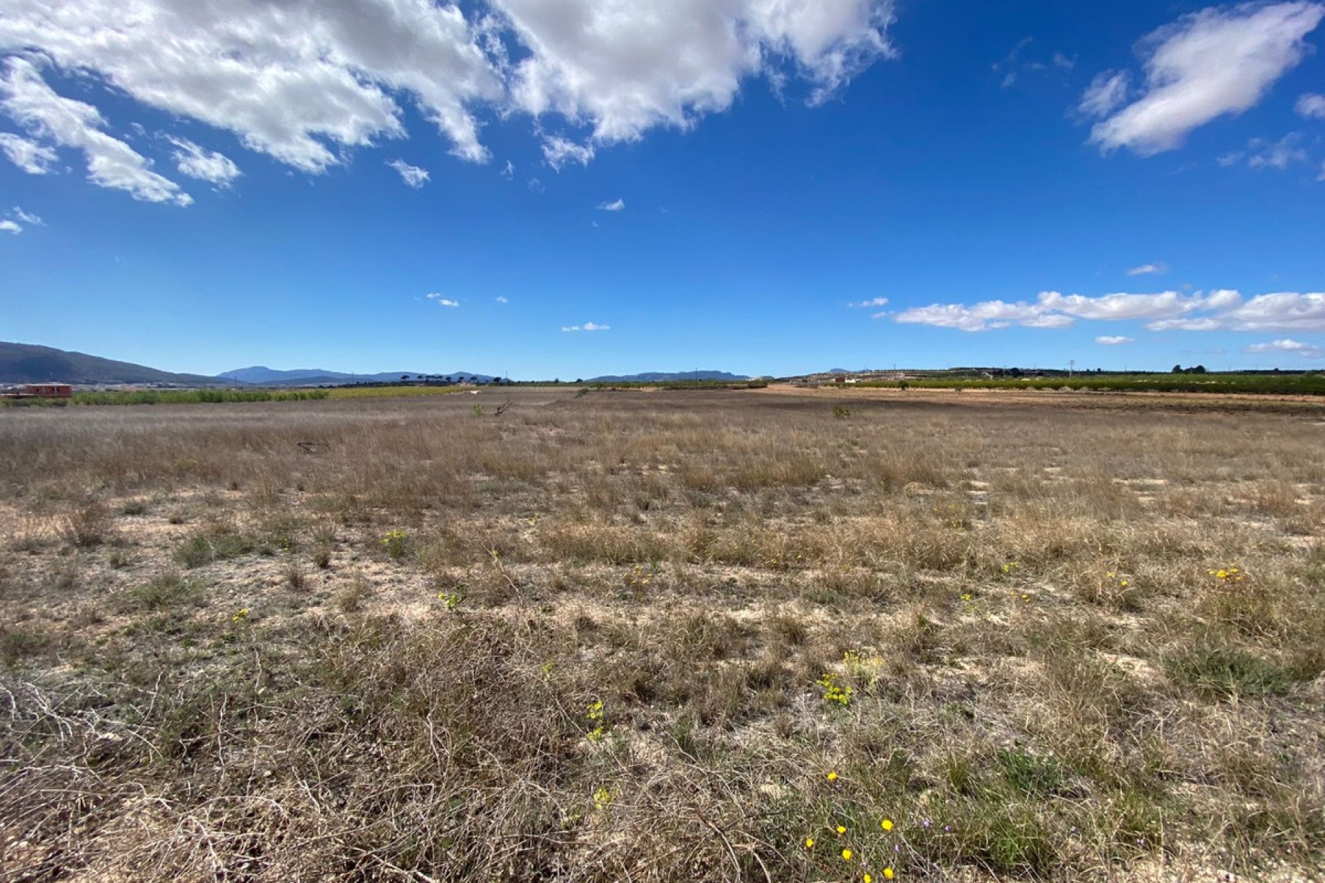Reventa - land -
Pinoso - Pinoso Centro