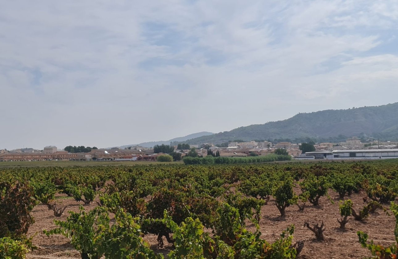 Reventa - land -
Pinoso - Pinoso Centro