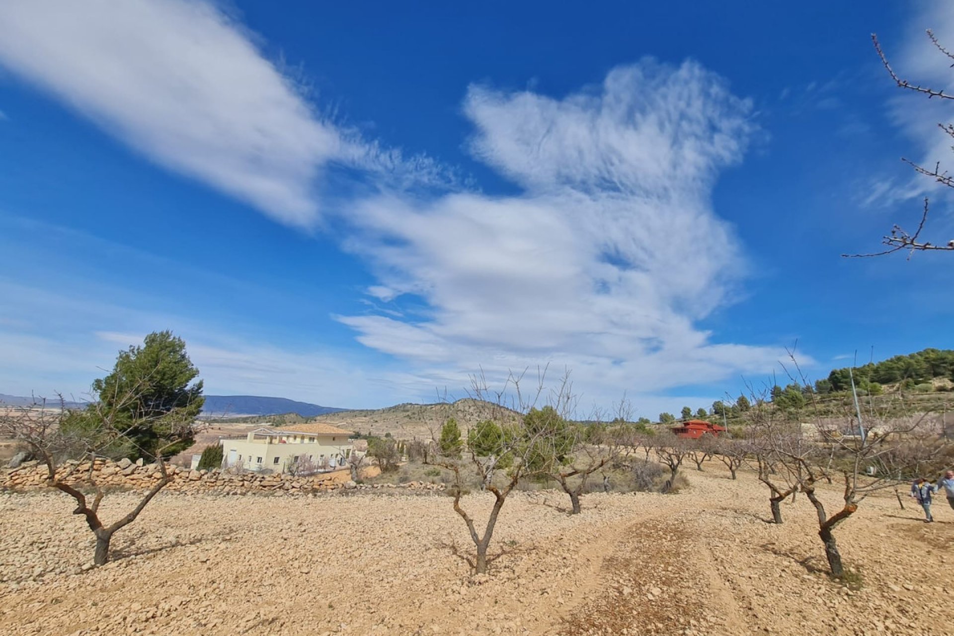 Reventa - land -
Pinoso - Pinoso Centro