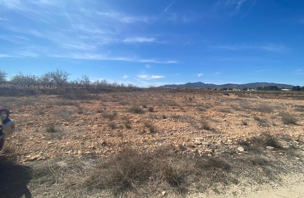 Reventa - land -
Pinoso - Pinoso Centro