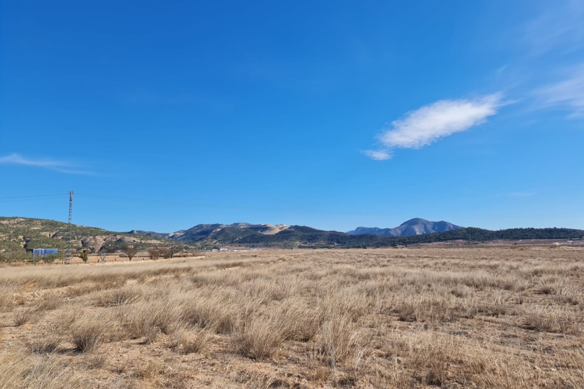 Reventa - land -
Pinoso - Pinoso Centro