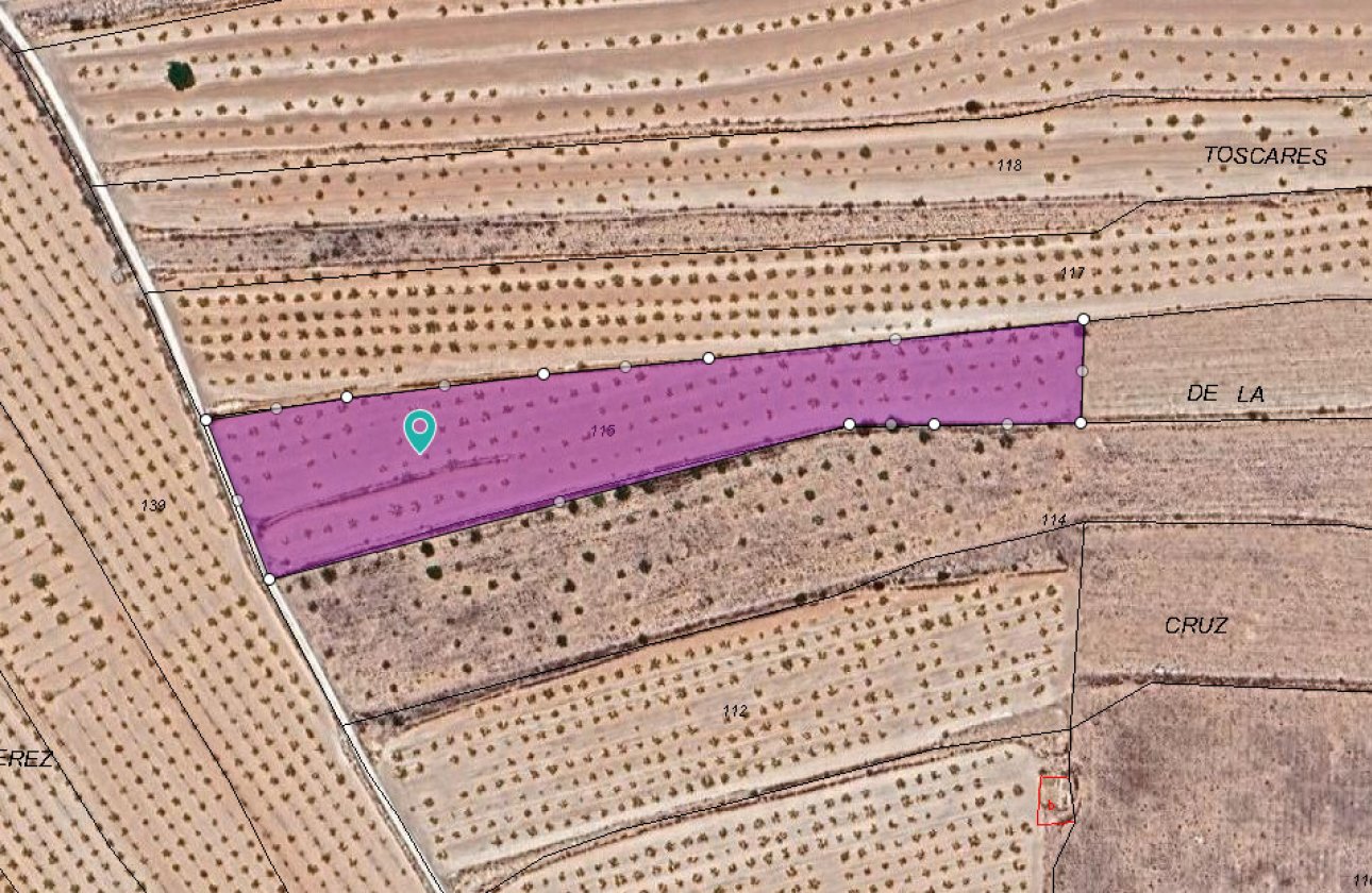 Reventa - land -
Pinoso - Pinoso Centro