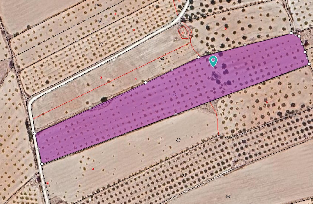 Reventa - land -
Pinoso - Pinoso Centro