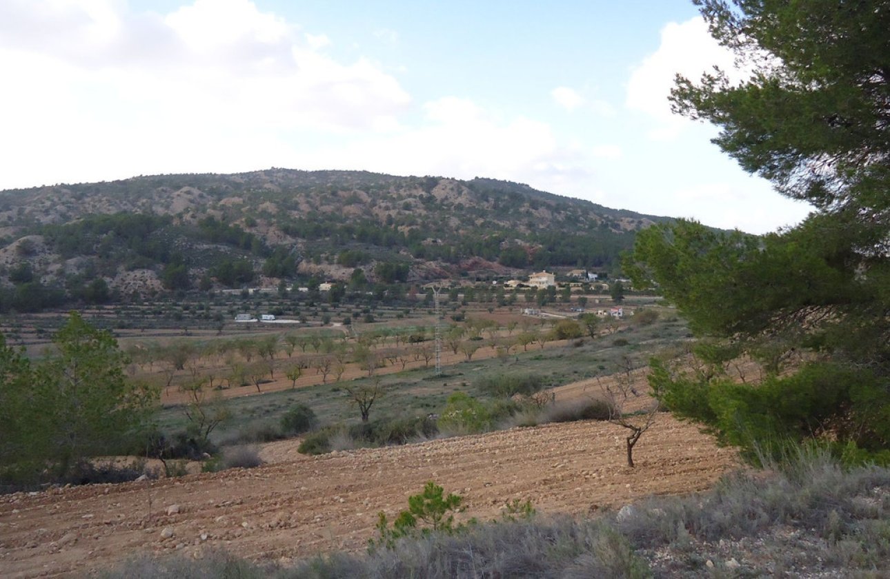Reventa - land -
Pinoso - Pinoso Centro