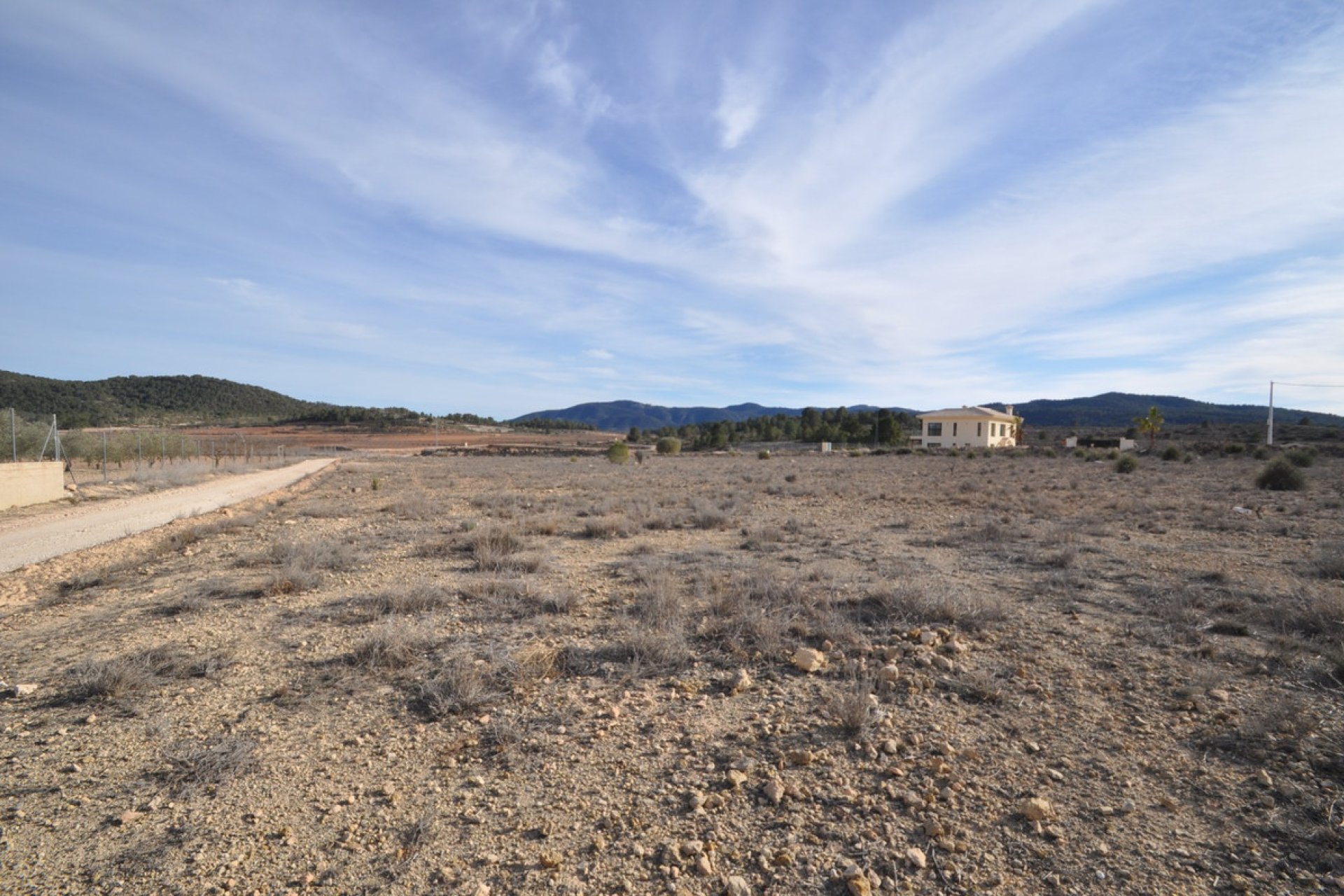Reventa - land -
Pinoso - Pinoso Centro
