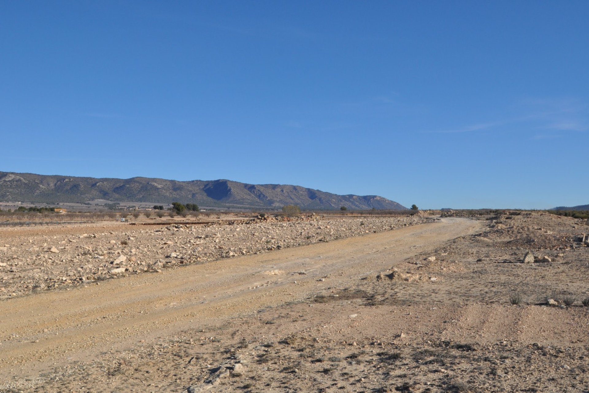 Reventa - land -
Pinoso - Pinoso Centro