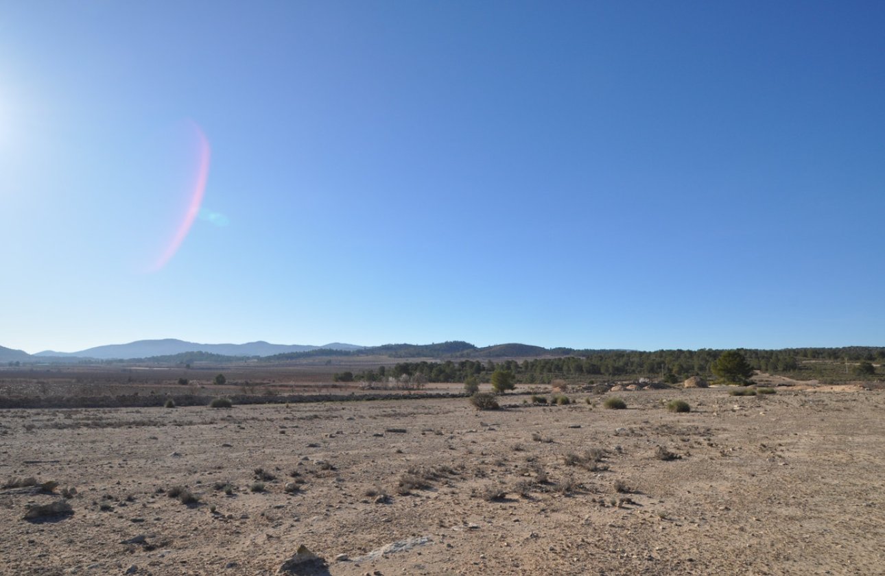 Reventa - land -
Pinoso - Pinoso Centro
