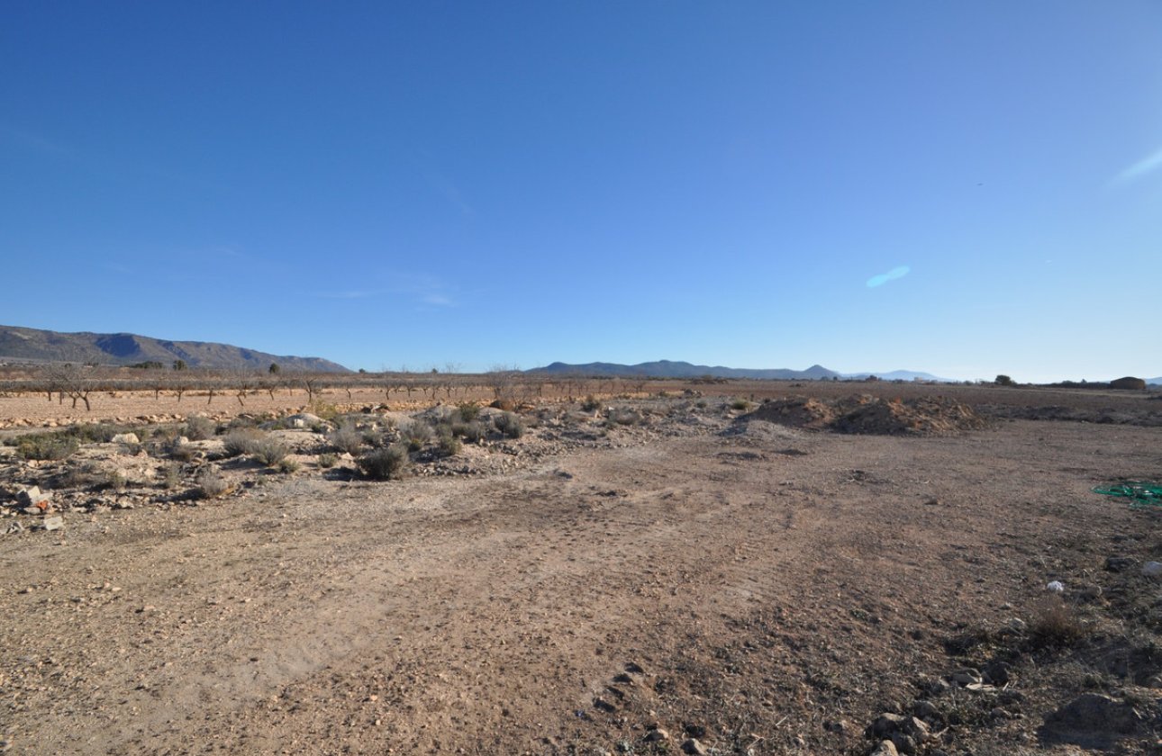 Reventa - land -
Pinoso - Pinoso Centro