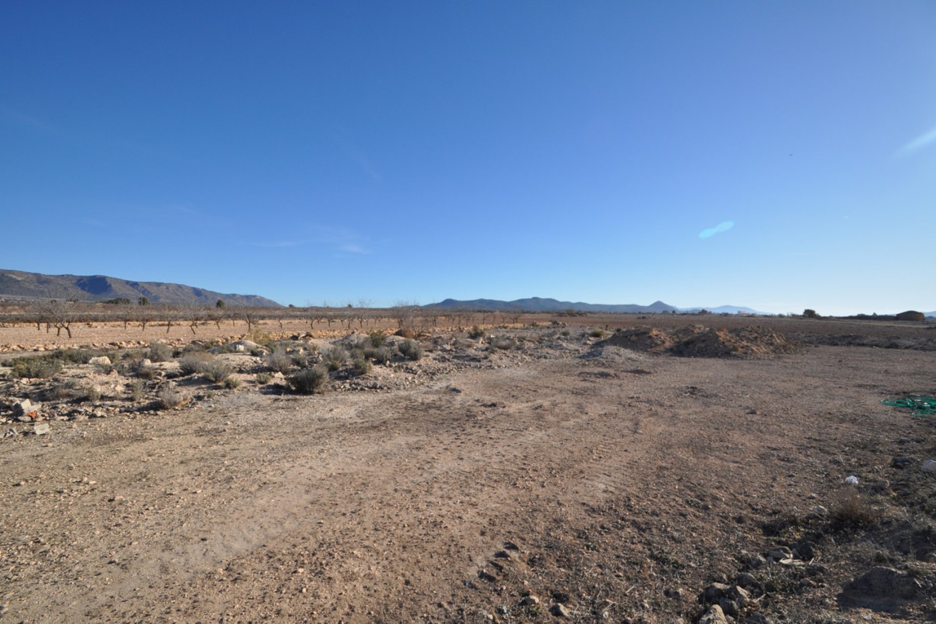 Reventa - land -
Pinoso - Pinoso Centro