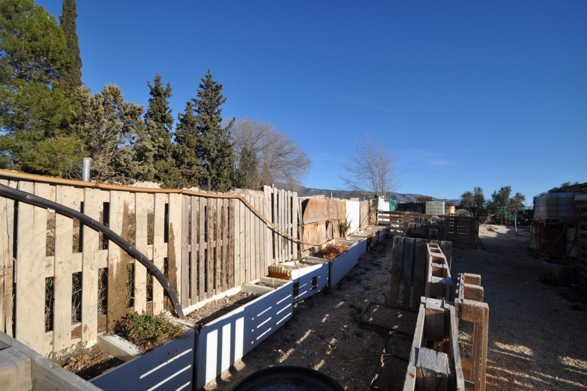 Reventa - land -
Pinoso - Pinoso Centro