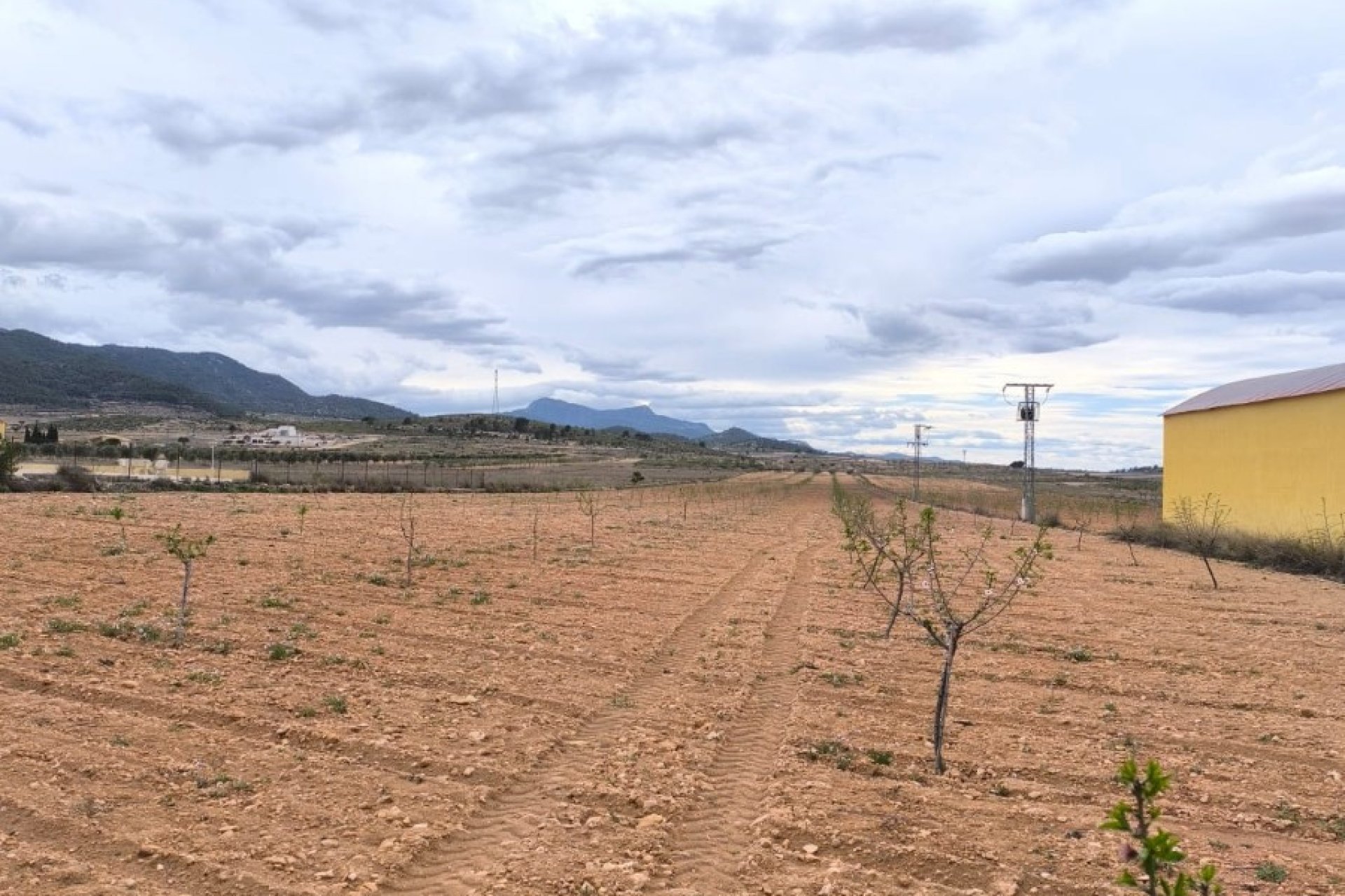 Reventa - land -
Pinoso - Pinoso Centro