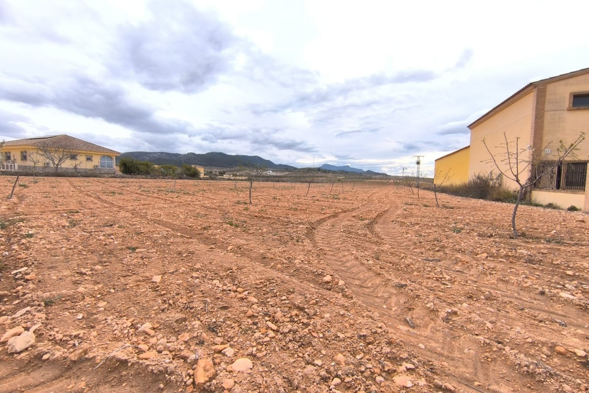 Reventa - land -
Pinoso - Pinoso Centro