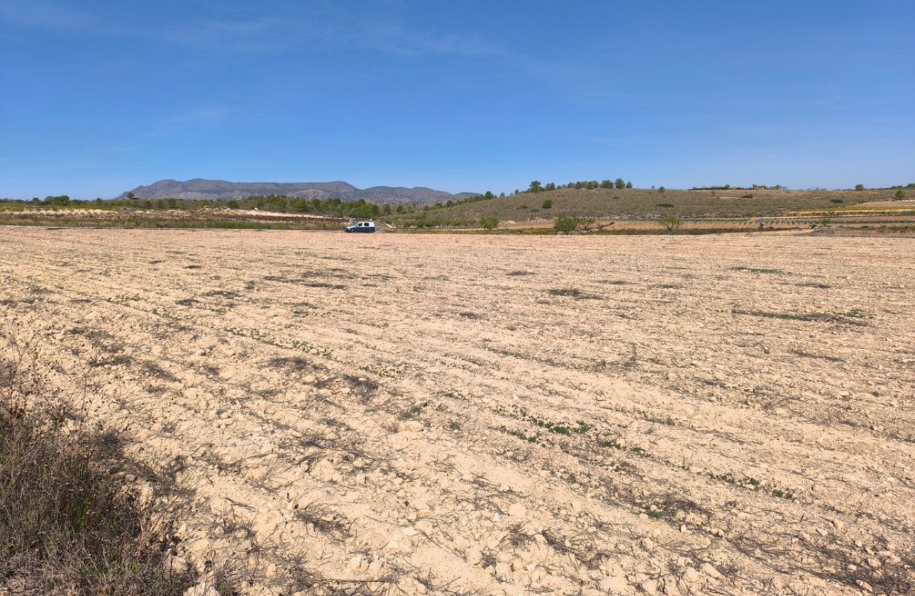 Reventa - land -
Pinoso - Pinoso Centro