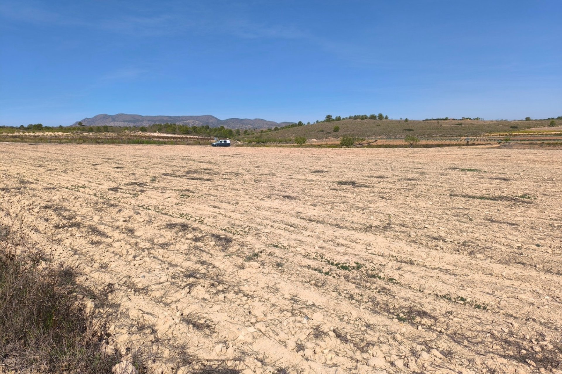 Reventa - land -
Pinoso - Pinoso Centro