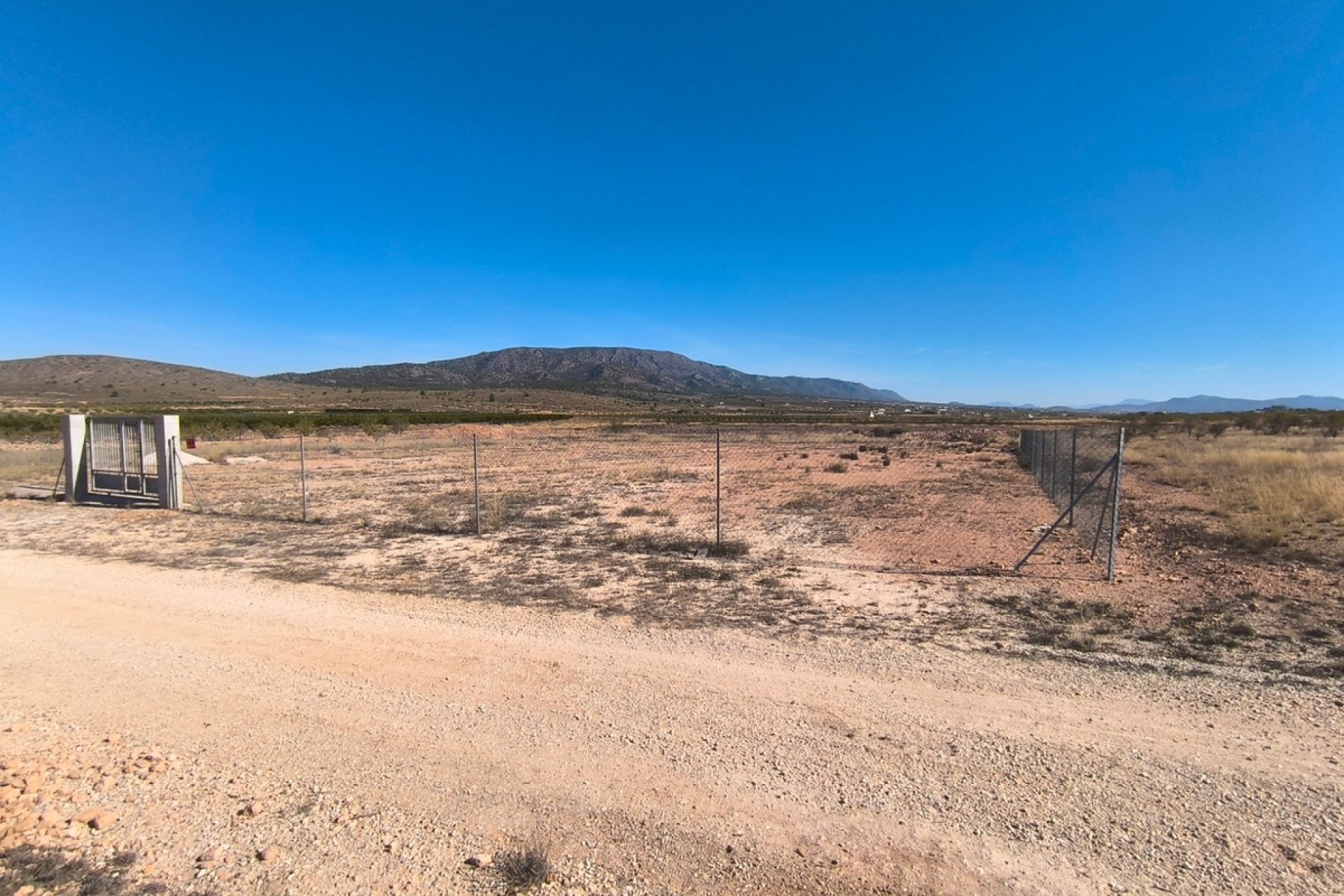 Reventa - land -
Pinoso - Pinoso Centro
