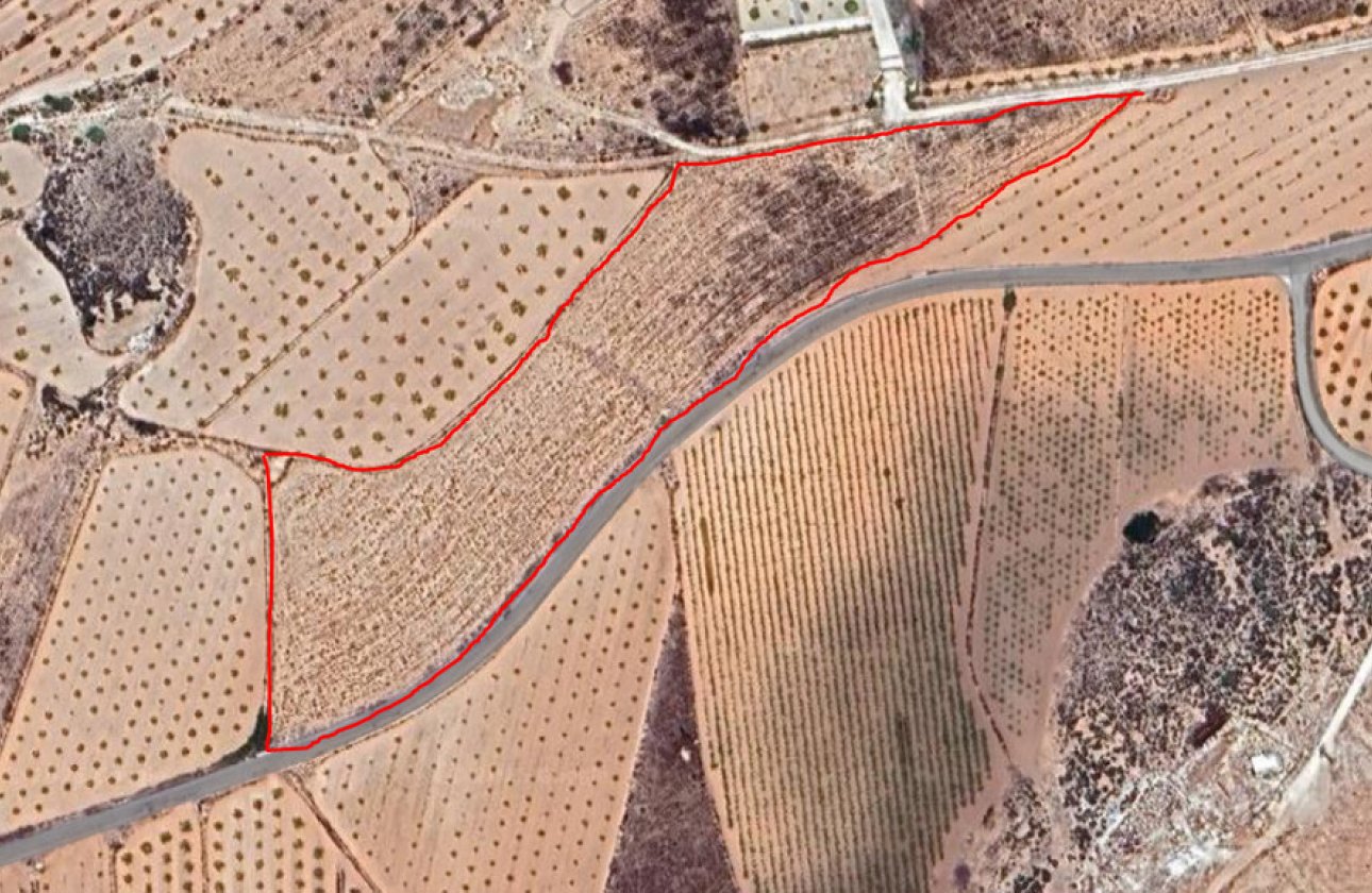 Reventa - land -
Pinoso - Pinoso Centro