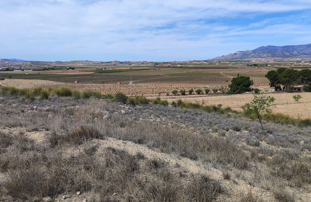 Reventa - land -
Pinoso - Pinoso Centro