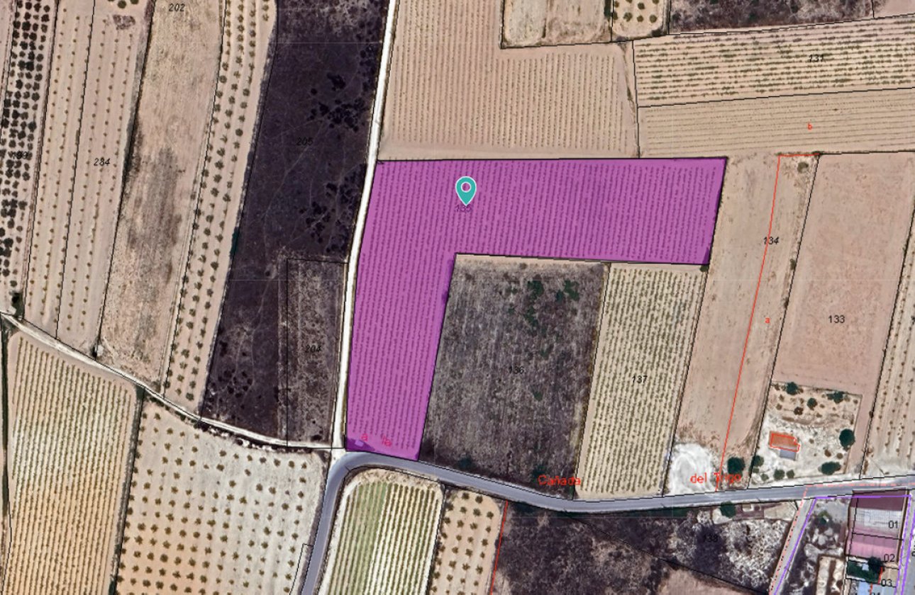 Reventa - land -
Pinoso - Pinoso Centro