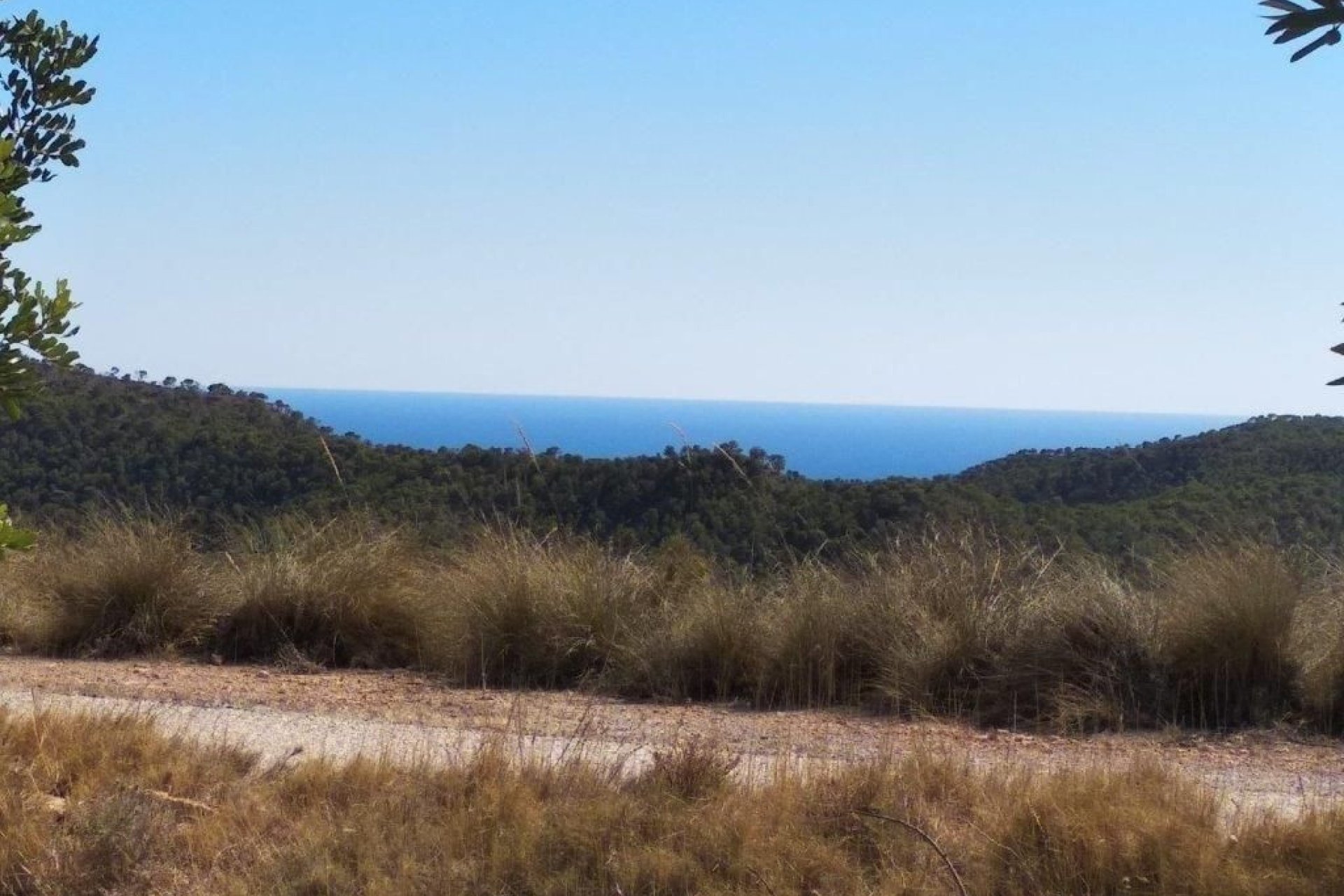 Reventa - land -
Relleu - Relleu Centro